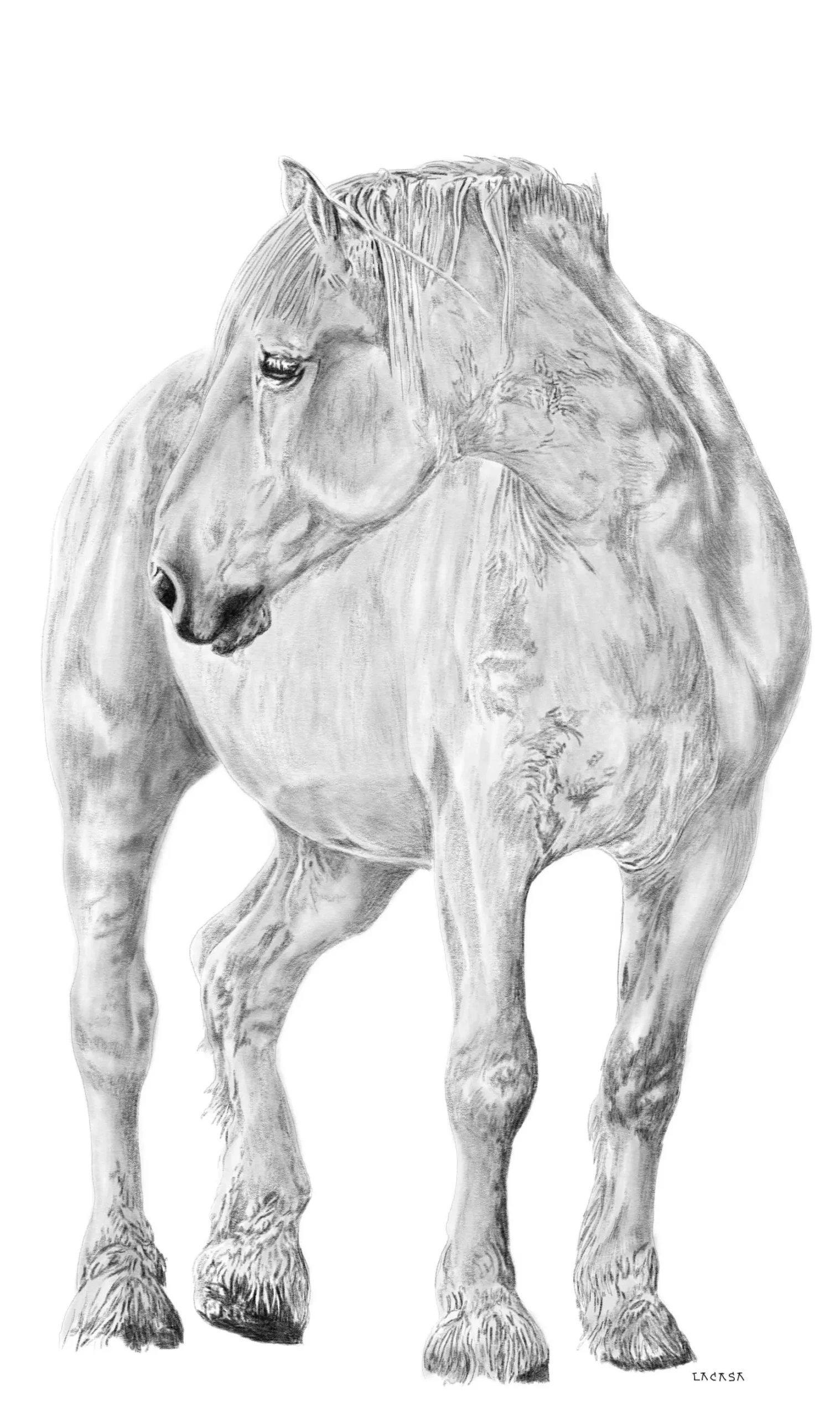 Caballo atruchado_cuadro