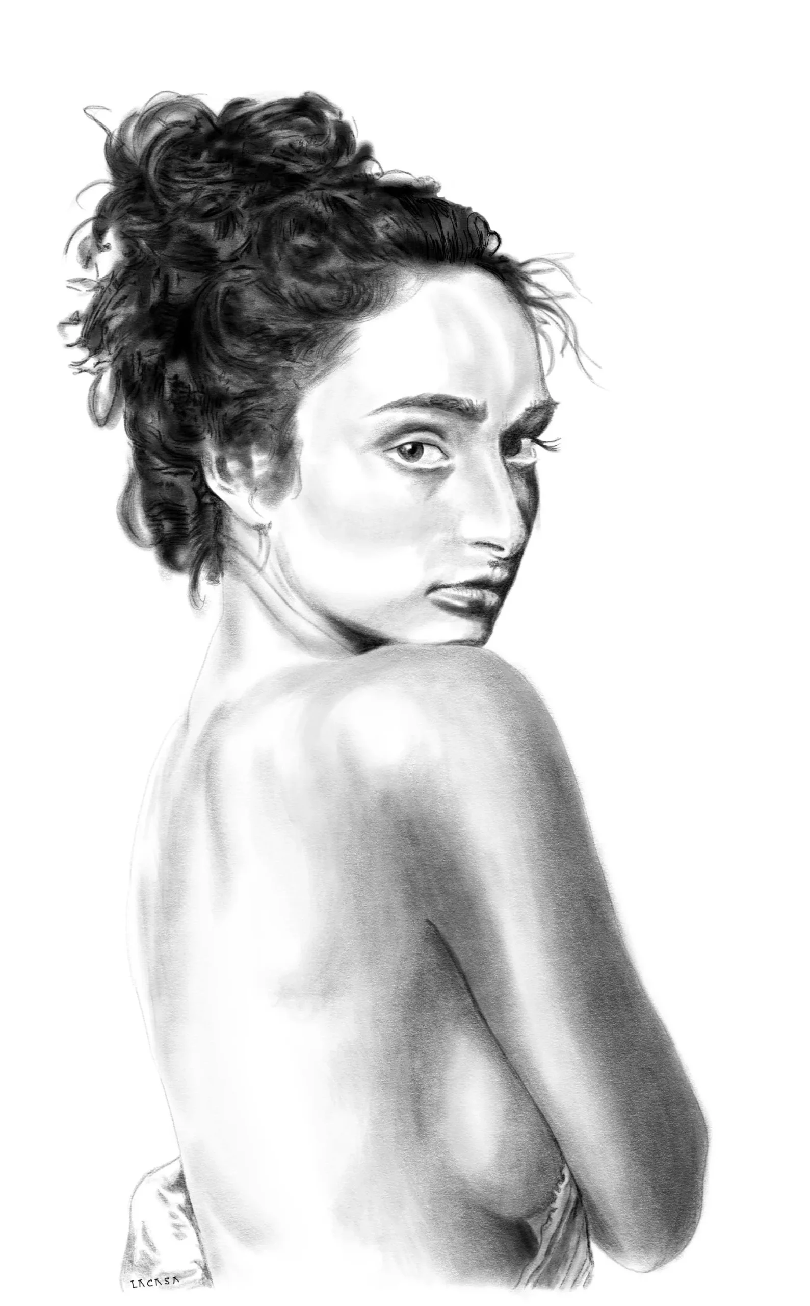 modelo 11